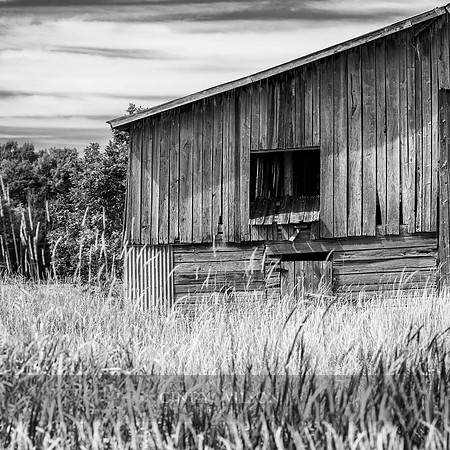 The Last Stand, Manitoulin Island