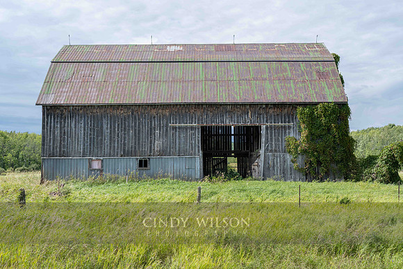 Roadside Attraction, Manitoulin Island