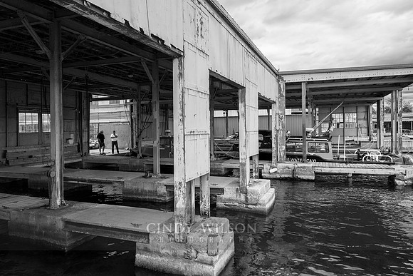 Boat Shed Facade