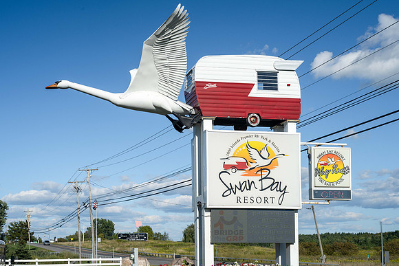Swan Bay