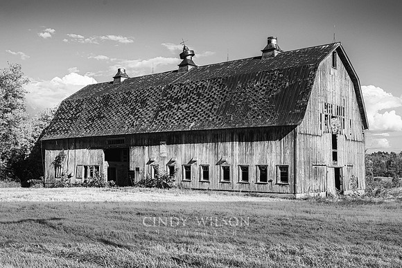 Roadside Barn Afternoon, Clayton