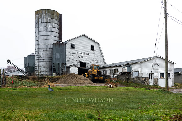 Kingswood Farms, Brooklyn