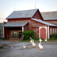 Harvest Host, Pattersonville, NY