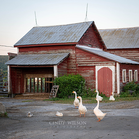 Harvest Host, Pattersonville, NY