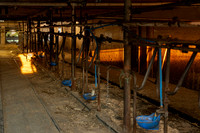 Cow Stations, Pattersonville