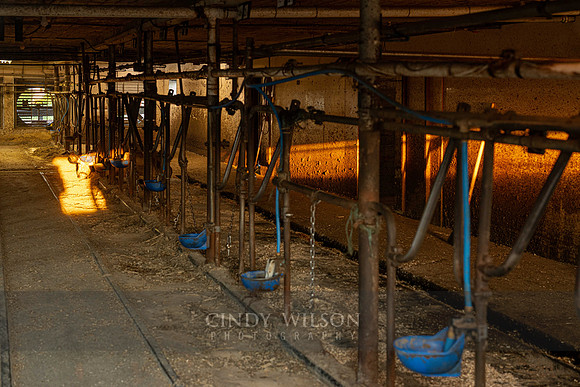 Cow Stations, Pattersonville