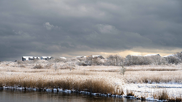 Marsh Dusting