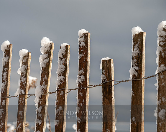 Snow Fence