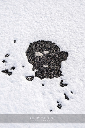 Tar Face