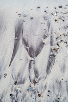 Tidal Torso