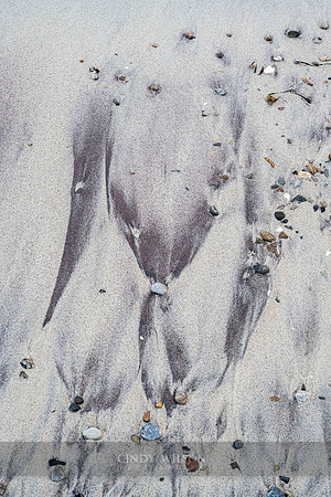 Tidal Torso