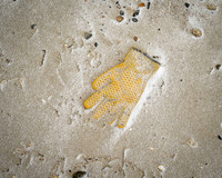 Hand Buried in the Sand