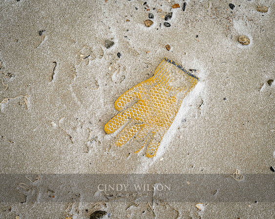 Hand Buried in the Sand