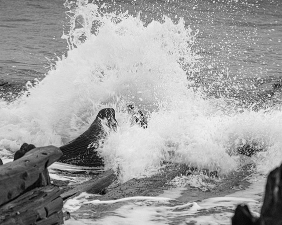 Splash Over
