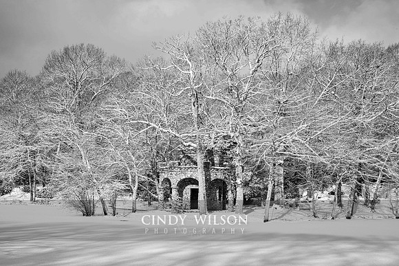 Frozen Folly
