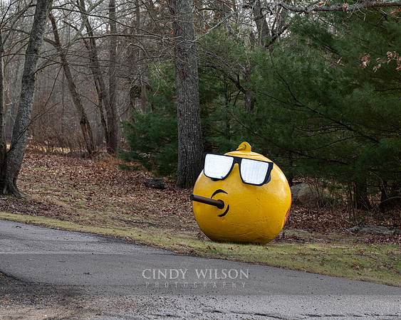 Smoking Ball