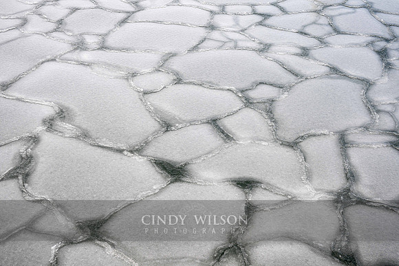 Ice Mosaic