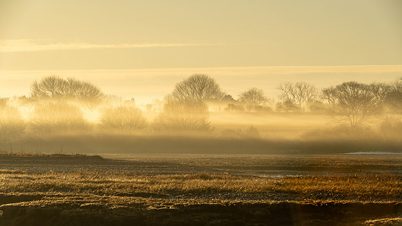 Dutch Mist