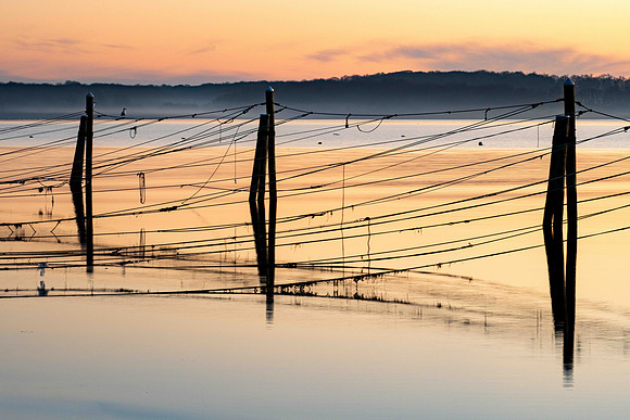 Lines at Sunrise
