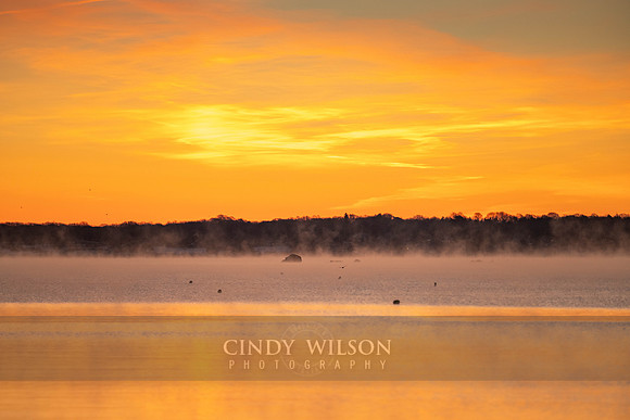 Sea Smoke, Hamilton