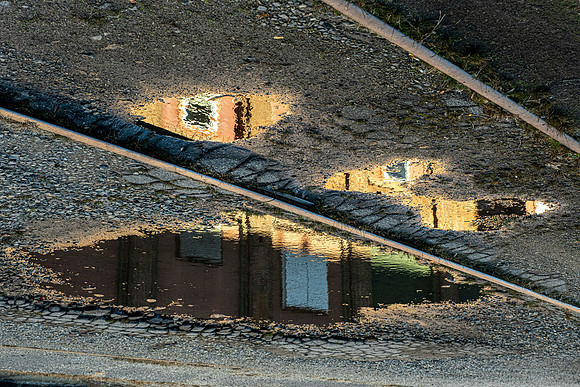 Puddle Face
