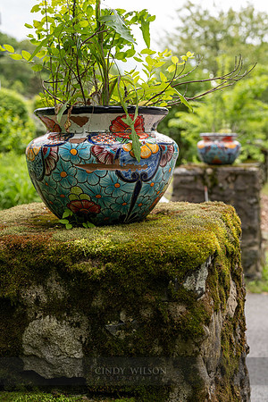 Ceramic Pots