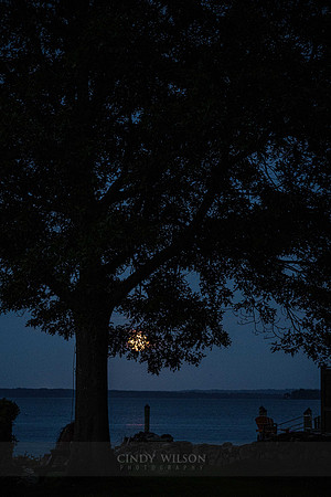Rising Moon