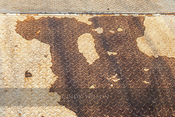 Corrugated Pareidolia