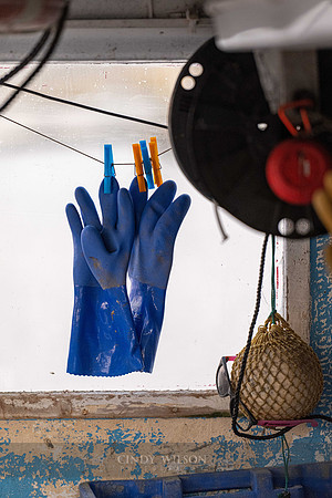 Blue Gloves
