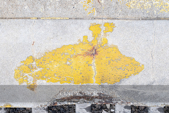 Yellow Submarine