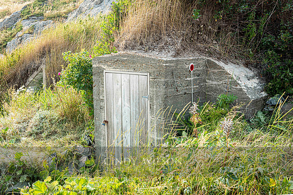 Root Cellar, Twillingate