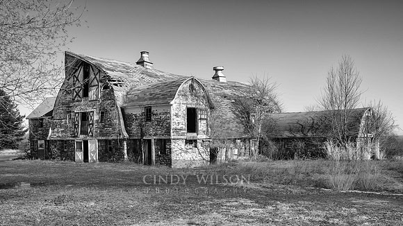 Dairy Barn, Columbia CT