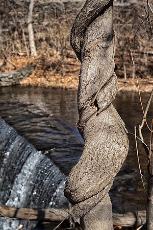 Twisted by a Waterfall