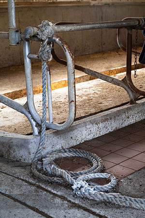 Stanchion, Baker Farm