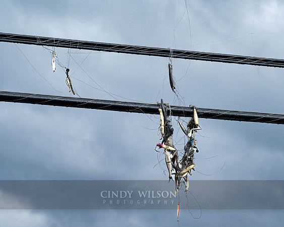 Hanging Lures, Narrow River