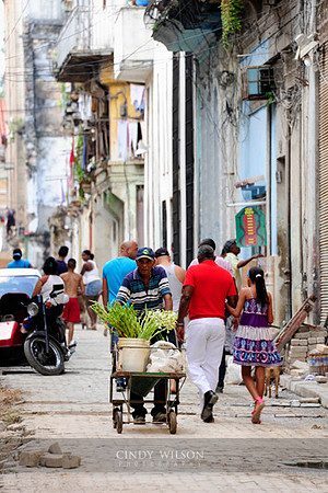 Street Vendor, Havana
