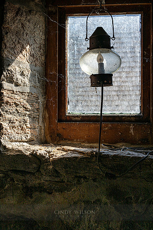 Lantern Light