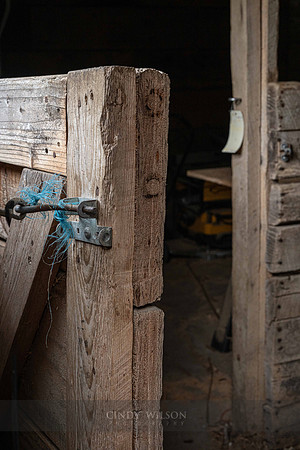 Stall Door