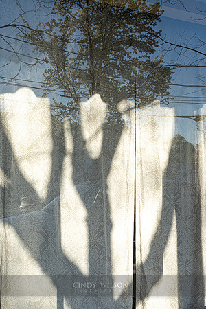 Shadow Reflection