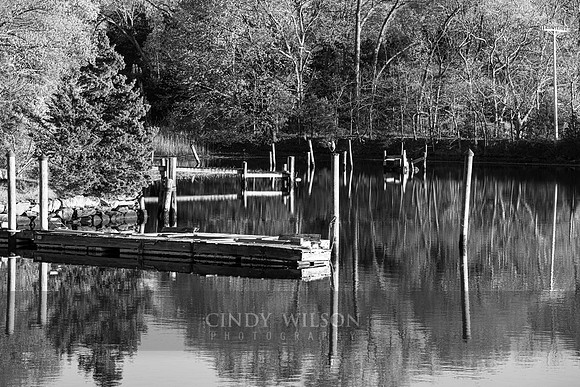 Pilings, Loop Drive