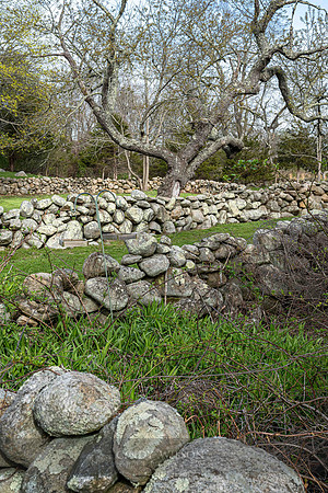 Rocky Meadow Zig Zag