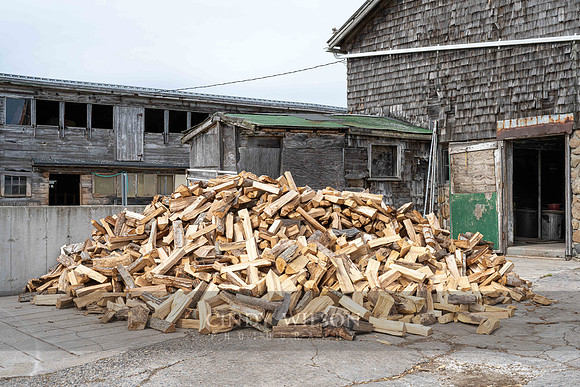 Wood Pile, Ocean Breeze Farm