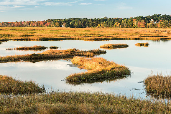 Wells Marsh