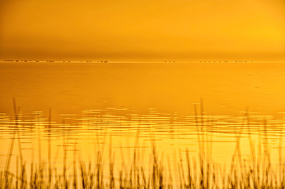 On Golden Pond