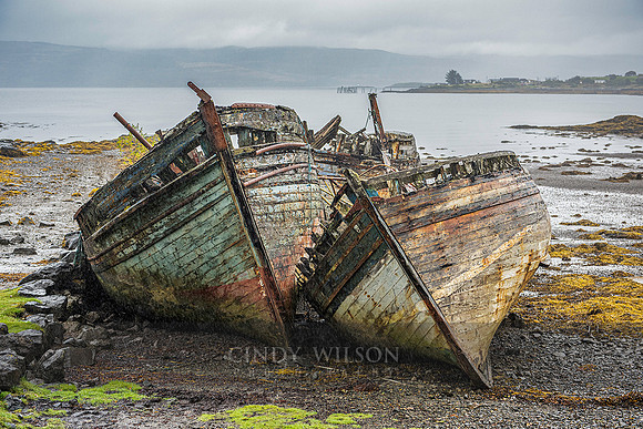 Abandoned in the Mist