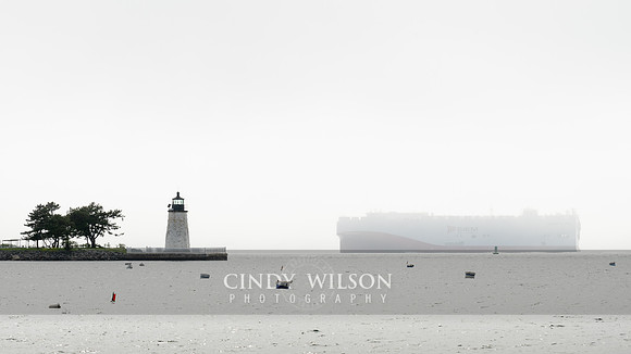 Carship in the Mist