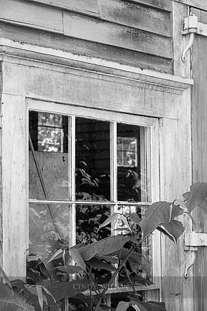 Window, Bristol Boatyard