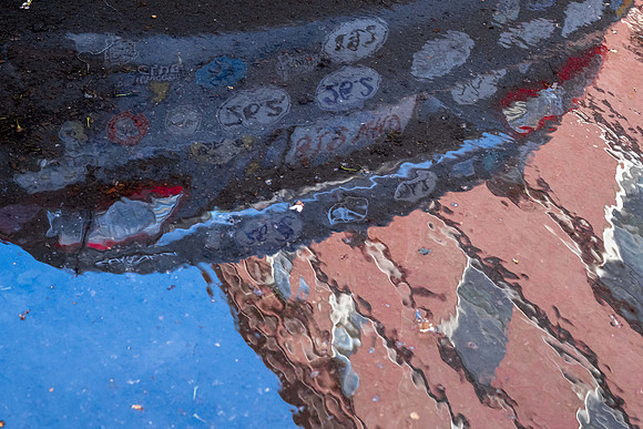 Marathon Reflections