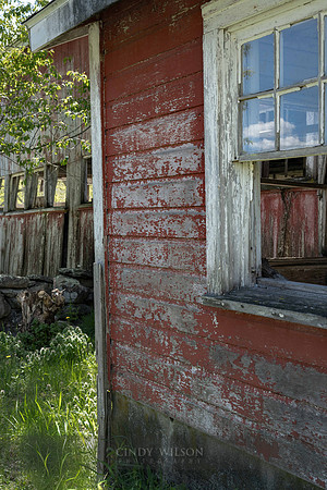 Seeing Through Red