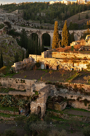 Magic Gravina